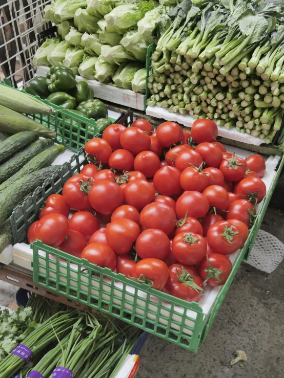 a market filled with lots of different types of vegetables, by Yasushi Sugiyama, tomato, profile image, square, in sao paulo