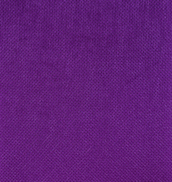 a close up of a purple cloth, proper shading, nylon, set 1 8 6 0, spyro