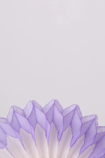 a close up of a purple flower in a vase, large polygons, resembling a crown, detailed product shot, sheer