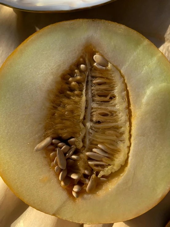 a close up of a sliced melon on a table, a macro photograph, by Kristin Nelson, renaissance, beige, brown, portrait image