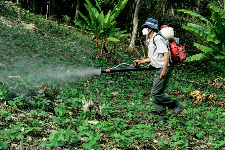 a man with a backpack sprays down a field, jungle clearing, wwf, local conspirologist, avatar image