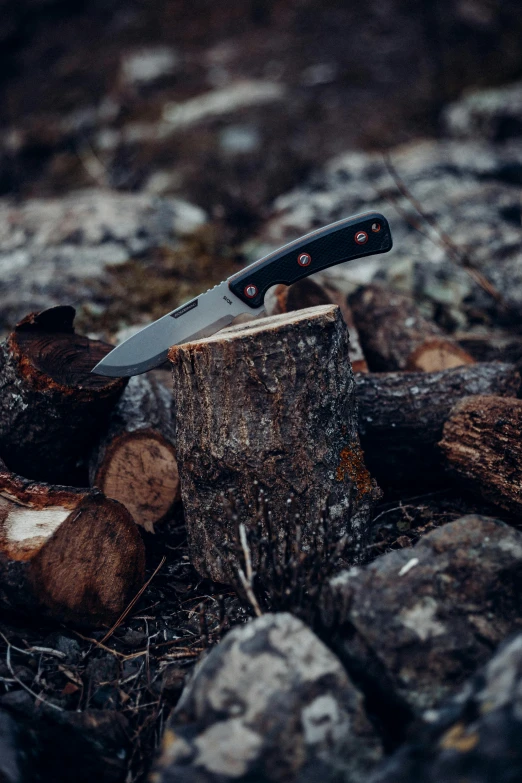 a knife sitting on top of a tree stump, sitting on a log