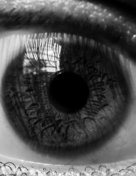 a close up of a person's eye, a black and white photo, by Anna Haifisch, eyes). full body, ( ( deep black eyes ) ), by greg rutkowski, detailed and creepy