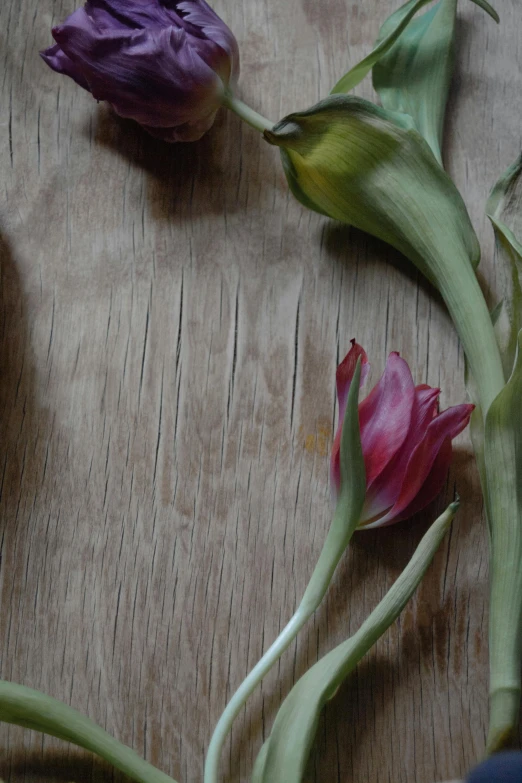 a bunch of flowers sitting on top of a wooden table, ((still life)), photography ultrafine detail, tulip, ramps