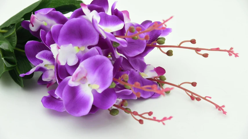 a bouquet of purple and white flowers on a white surface, ((purple)), extremely lifelike, orchid stems, product view