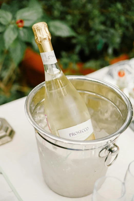 a bottle of wine in a bucket on a table, prosaic, bubbly, lightly dressed, thumbnail