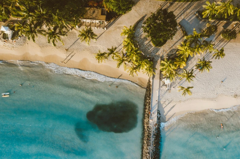 an aerial view of a beach with palm trees, pexels contest winner, near a jetty, caribbean, brown, manly