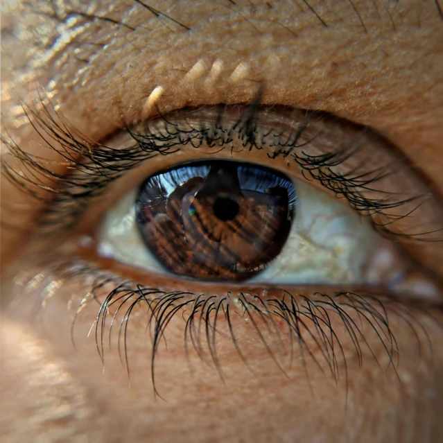 a close up of a person's brown eye, by Jan Rustem, pexels contest winner, asian hyperdetailed, highly detailed # no filter, low angle shot, full body extreme closeup