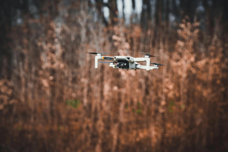 a small white drone flying over a forest, unsplash, renaissance, hunting, a wooden, field, decoration