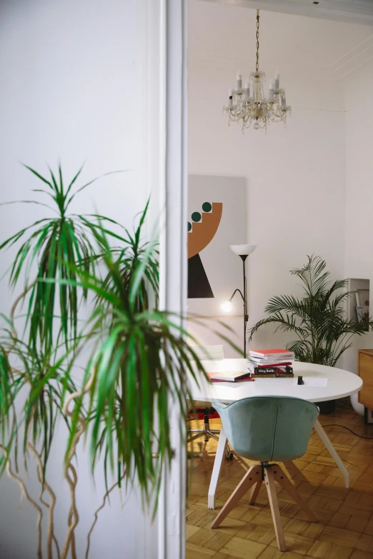 a living room filled with furniture and a potted plant, by Andries Stock, pexels contest winner, light and space, home office interior, kreuzberg, doctors office, facing front