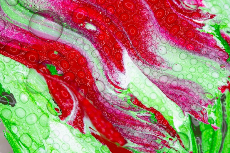 a close up of a painting of a flower, a microscopic photo, inspired by Yanagawa Nobusada, process art, red and green palette, soap bubbles, digital art - n 9, paper marbling