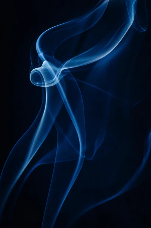 a close up of smoke on a black background, by Doug Ohlson, thick blue lines, graceful curves, paul barson, f / 2 0