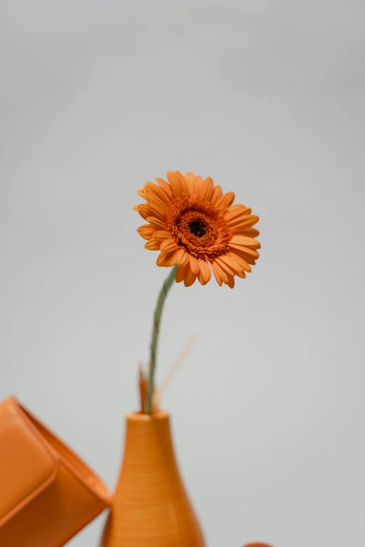 a close up of a vase with a flower in it, inspired by Christo, fully posable, orange roof, daisy, product design shot