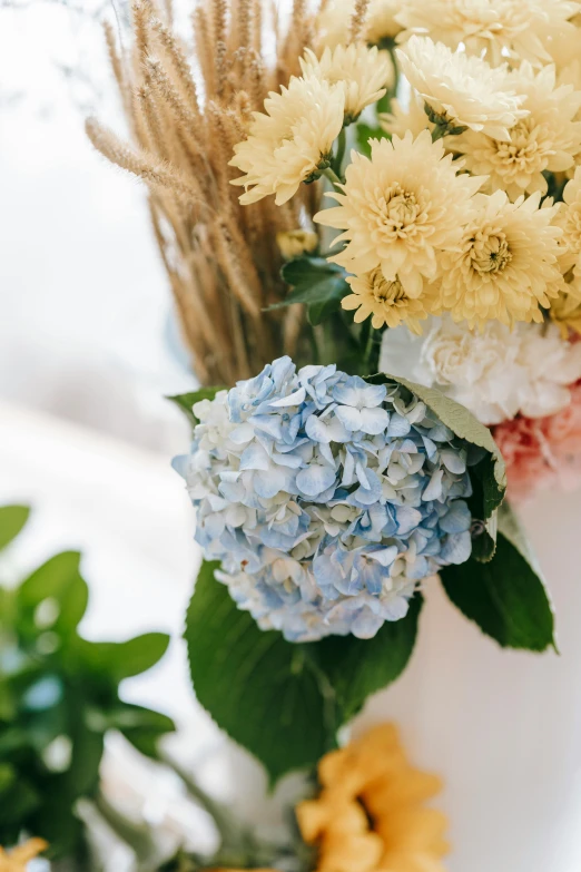 a bunch of flowers sitting on top of a table, blue soft details, shades of gold display naturally, up close, commercially ready