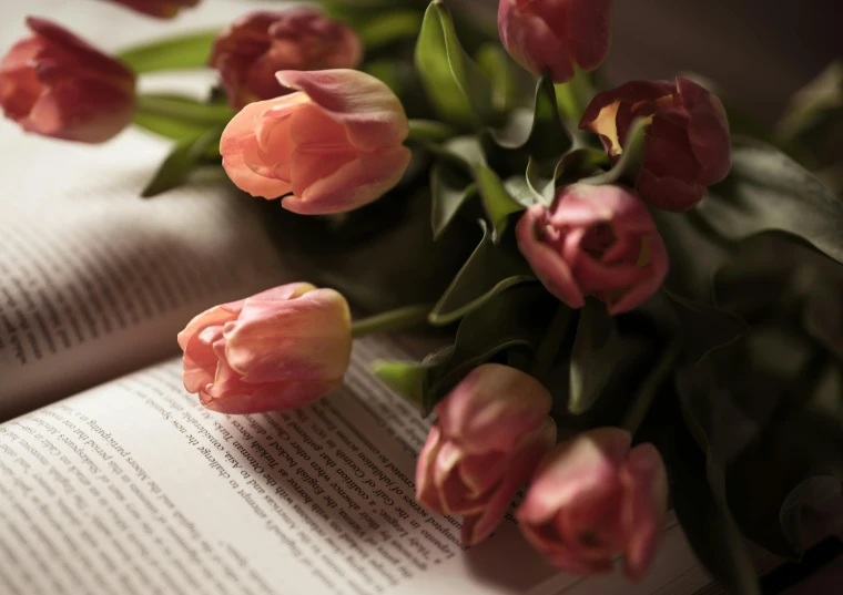 a bunch of flowers sitting on top of an open book, by Eglon van der Neer, pexels contest winner, romanticism, tulips, pink, medium format. soft light, thumbnail