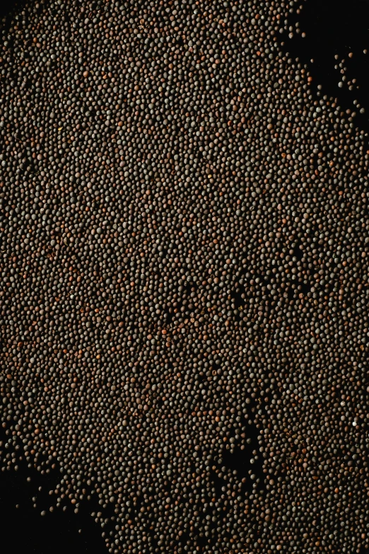 a large amount of beads on a black background, a microscopic photo, by Andreas Gursky, unsplash, kinetic pointillism, 2 5 6 x 2 5 6, abundant fruition seeds, heavy grain-s 150, brown