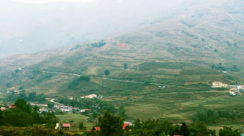 a herd of cattle standing on top of a lush green hillside, pexels contest winner, hurufiyya, view of villages, hoang lap, staggered terraces, grey