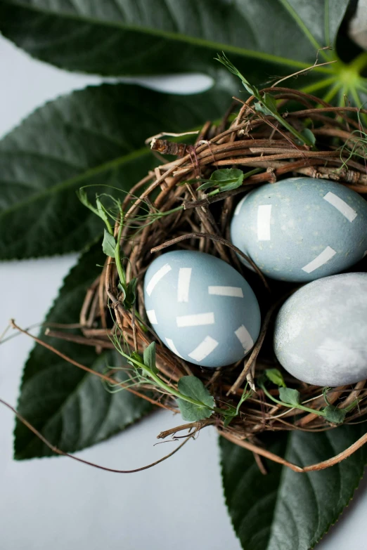 three eggs in a nest with green leaves, trending on reddit, fine art, dipped in polished blue ceramic, confetti, hues of subtle grey, thumbnail