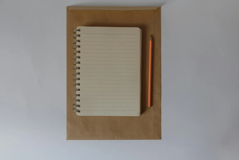 a notepad with a pencil sitting on top of it, by Pablo Rey, postminimalism, wrapped, without frame, overview, brown:-2