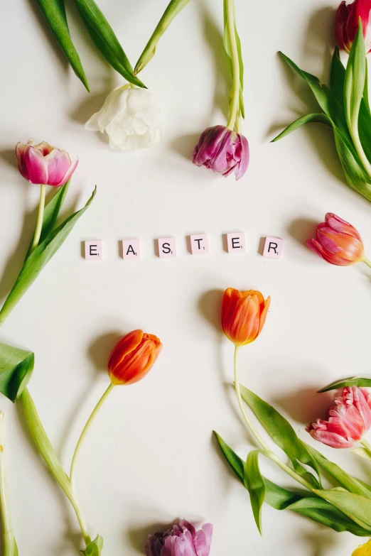 a white table topped with lots of flowers, an album cover, trending on unsplash, easter, squares, symbol for the word ersatz, background image