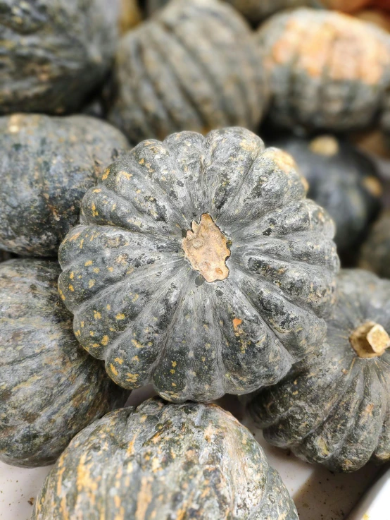 a pile of squash sitting on top of a table, blue gray, thumbnail, up-close, coxcomb