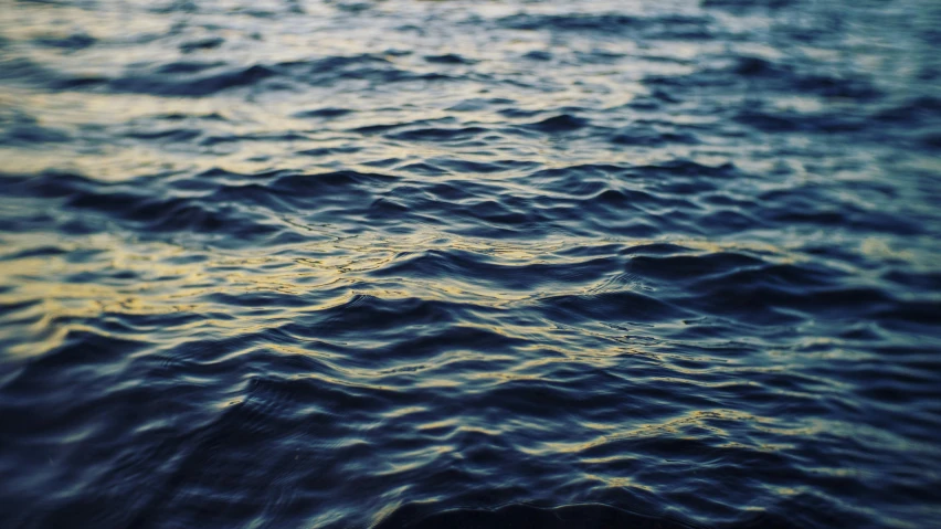 a close up of a body of water, inspired by Elsa Bleda, unsplash, gold and indigo, calm evening, chillwave, wandering