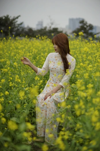 a woman sitting in a field of yellow flowers, an album cover, by Tan Ting-pho, soft silk dress, 奈良美智, 2010s, flowing ginger hair