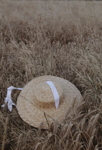 a straw hat sitting in the middle of a field, in a field, white ribbon, detailed product shot, multiple stories