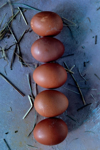 a bunch of brown eggs sitting on top of a pile of hay, by Jan Rustem, symmetric balance), terracotta, first light, multiple stories