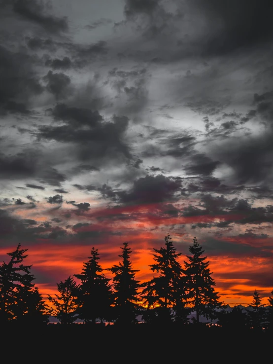 a sunset with clouds and trees in the foreground, inspired by Elsa Bleda, unsplash contest winner, dark overcast weather, pacific northwest, today\'s featured photograph 4k, red skies