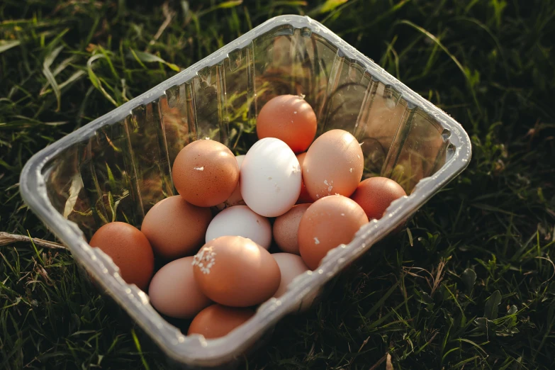 a plastic container filled with brown and white eggs, pexels contest winner, 🦩🪐🐞👩🏻🦳, picnic, first light, 2263539546]