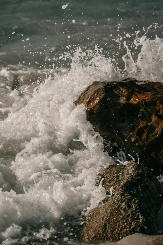 a dog that is on a surfboard in the water, a picture, unsplash, romanticism, waves crashing at rocks, detail shot, rocks falling, low quality photo