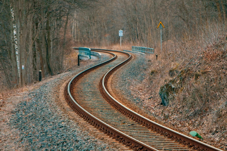 a train traveling down train tracks next to a forest, unsplash, regionalism, bezier curve, 2000s photo, dirk dzimirsky, curves