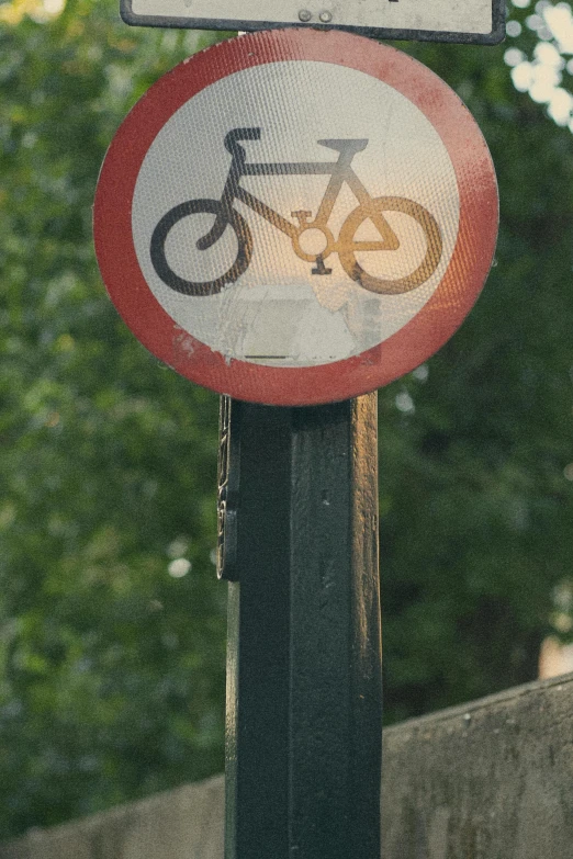 a close up of a street sign with trees in the background, a picture, by Paul Bird, unsplash, graffiti, rides a bike, hazy, pictogram, no text