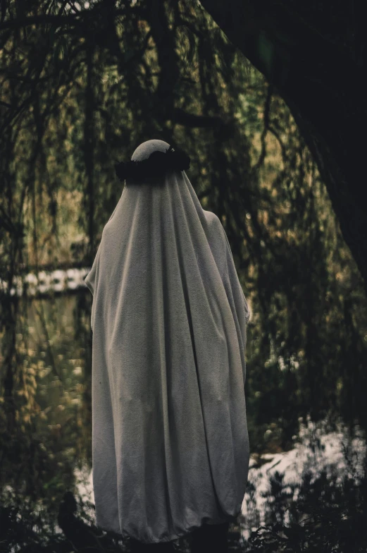 a person in a white robe standing next to a body of water, in a spooky forest, wearing a veil, back - shot, ( ( theatrical ) )