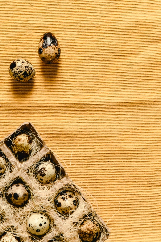 a bunch of eggs sitting on top of a wooden table, by Andries Stock, trending on pexels, patterned background, square, bird view, bugs