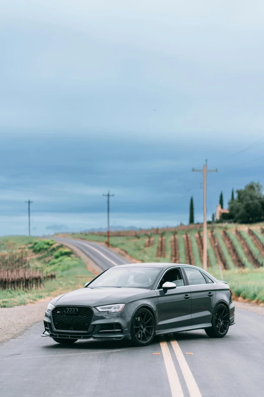 a gray audi parked on the side of a road, by Drew Tucker, pexels contest winner, renaissance, an idyllic vineyard, panoramic shot, square, matte black
