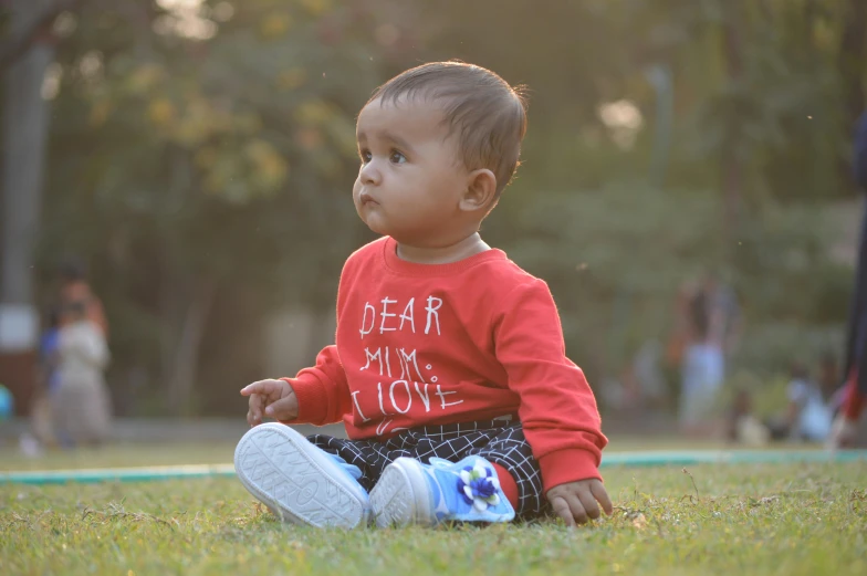 a baby sitting on top of a lush green field, pexels contest winner, realism, red sweater and gray pants, with lovely look, at a park, profile pic