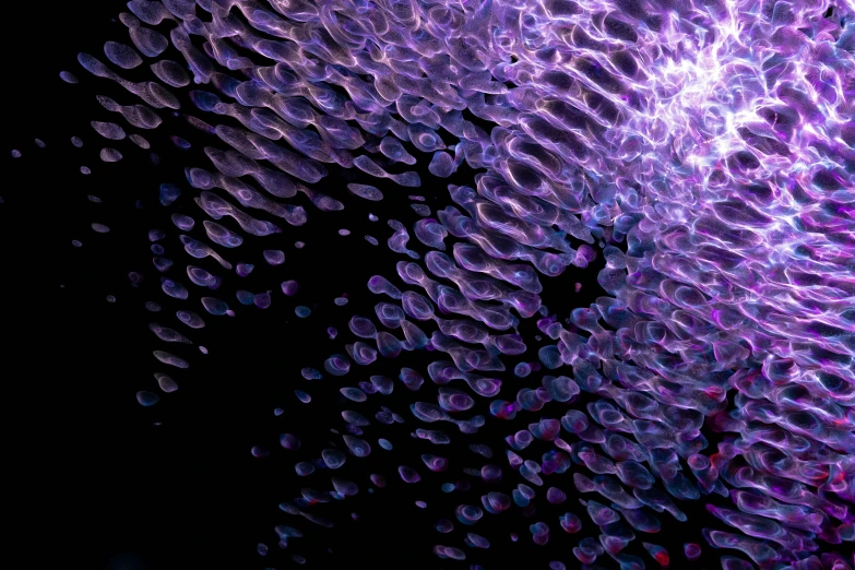 a bunch of bubbles floating on top of a black surface, a microscopic photo, flickr, generative art, purple tubes, skin texture details, view from below, detailed scales