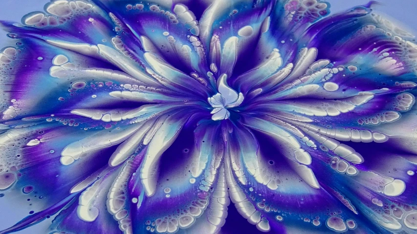 a close up of a purple and blue flower, a digital painting, by Mandy Jurgens, pixabay contest winner, process art, intricate water, sparkling petals, intricate oil, detailed airbrush art