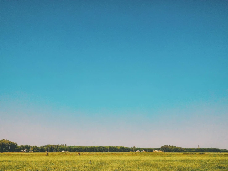 a field of green grass with a blue sky in the background, an album cover, unsplash, color field, russian landscape, old american midwest, clear skies, distant villagescape