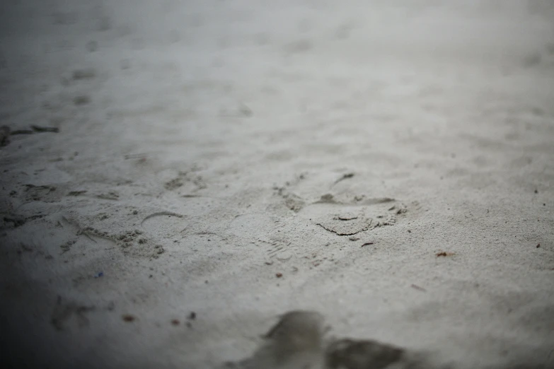 a close up of a bird's footprints in the sand, by Adam Pijnacker, unsplash, graffiti, desaturated, white clay, blurry, background image