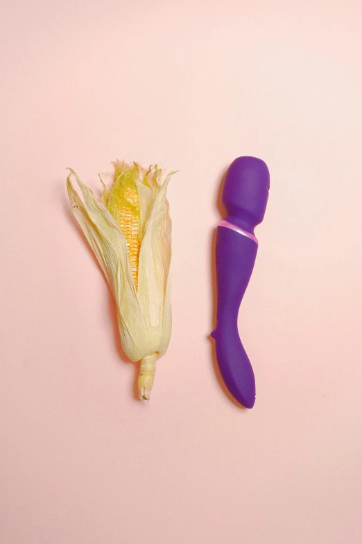 a couple of toys sitting next to each other on a pink surface, corn, rubbery-looking body, ((purple)), detailed product image