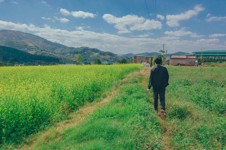 a man walking through a field of yellow flowers, unsplash, shin hanga, behind a tiny village, profile image, korean countryside, facing away
