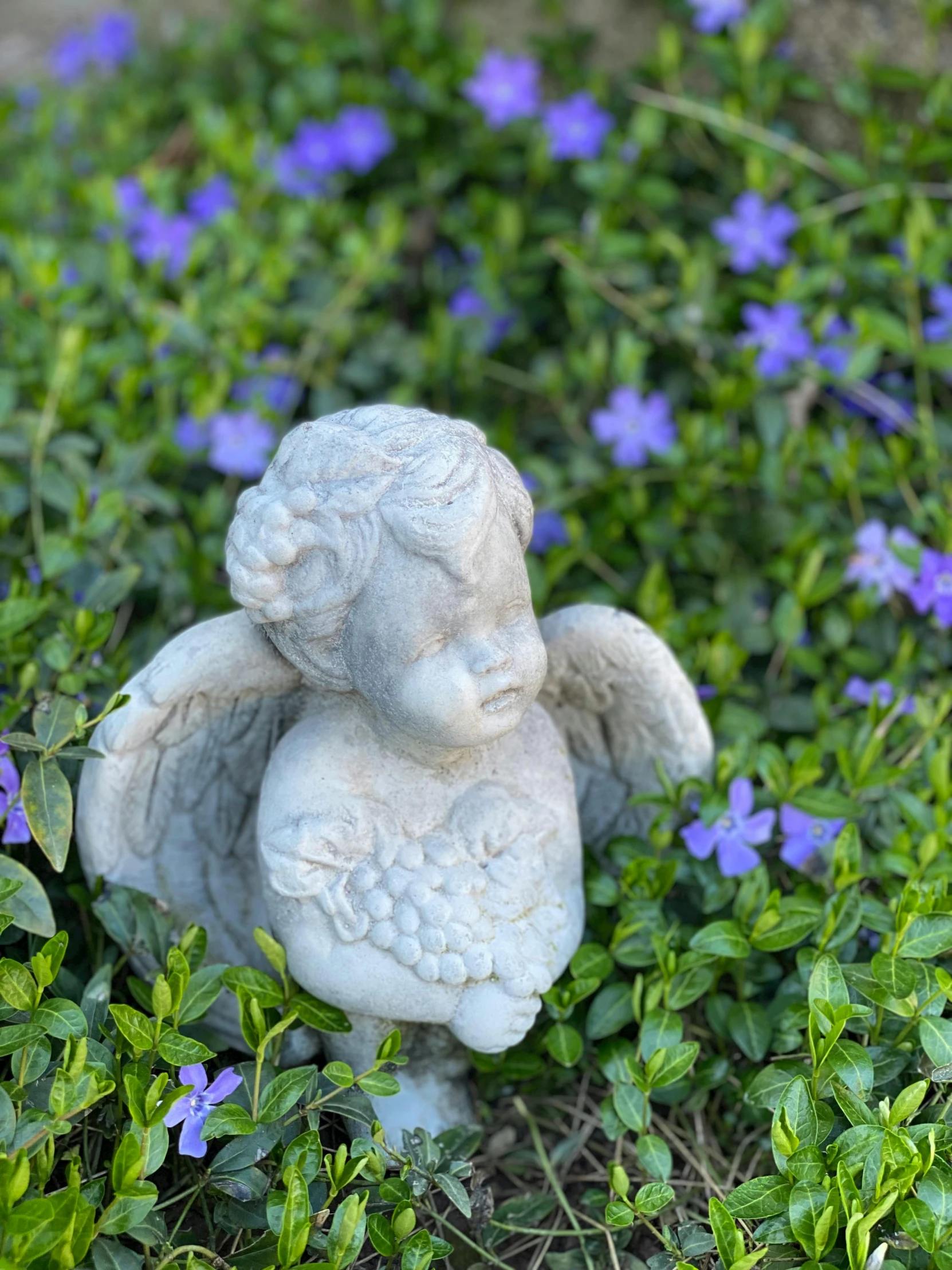 a statue sitting on top of a lush green field, cherub, next to a plant, high quality product image”, birdseye view