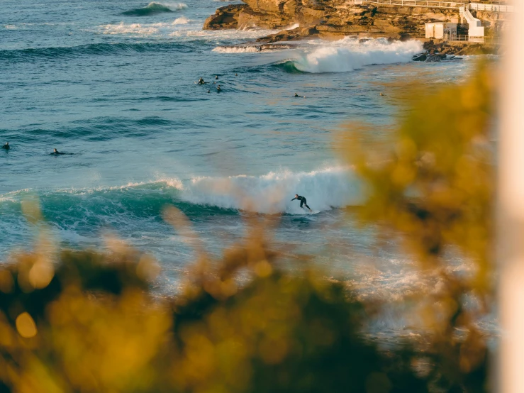 a man riding a wave on top of a surfboard, by Lee Loughridge, pexels contest winner, happening, sydney park, coastline, amongst foliage, people angling at the edge