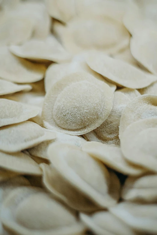 a pile of pasta shells sitting on top of a table, cream of the crop, smooth round shapes, painstaking detail, salvia