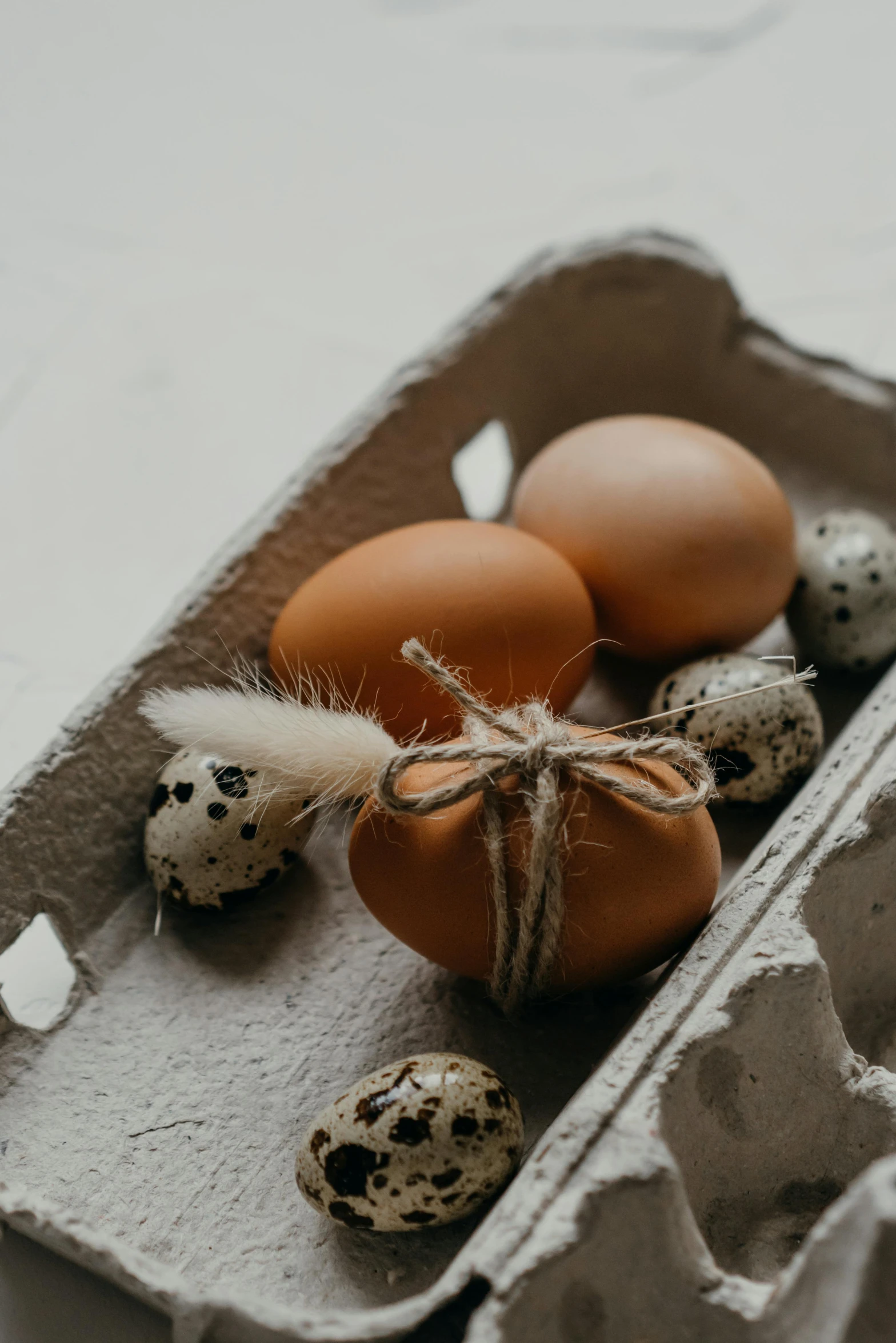 a carton filled with eggs sitting on top of a table, a still life, trending on pexels, renaissance, feathers growing out of skin, bows, seeds, high quality upload