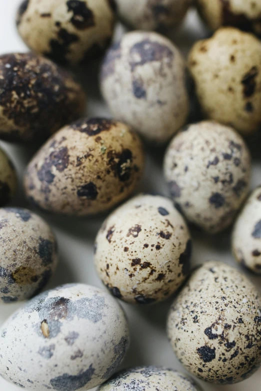 a pile of quails sitting on top of a white plate, by Ben Zoeller, eggs, white with black spots, thumbnail, soil