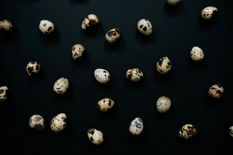 a bunch of quails on a black surface, trending on unsplash, eggshell color, varying dots, skulls, bo xun ling